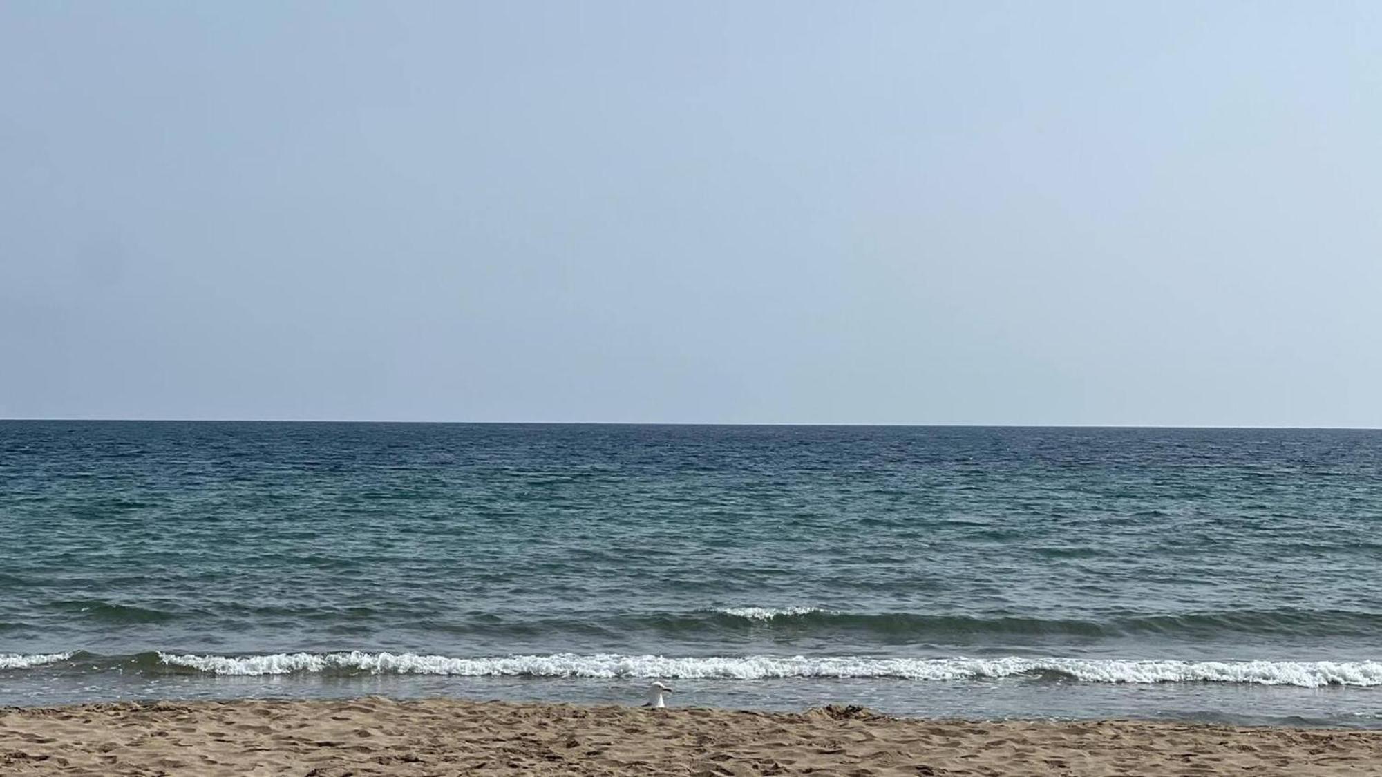 Precioso En Con Parking Cerca De Playa Appartement Roses